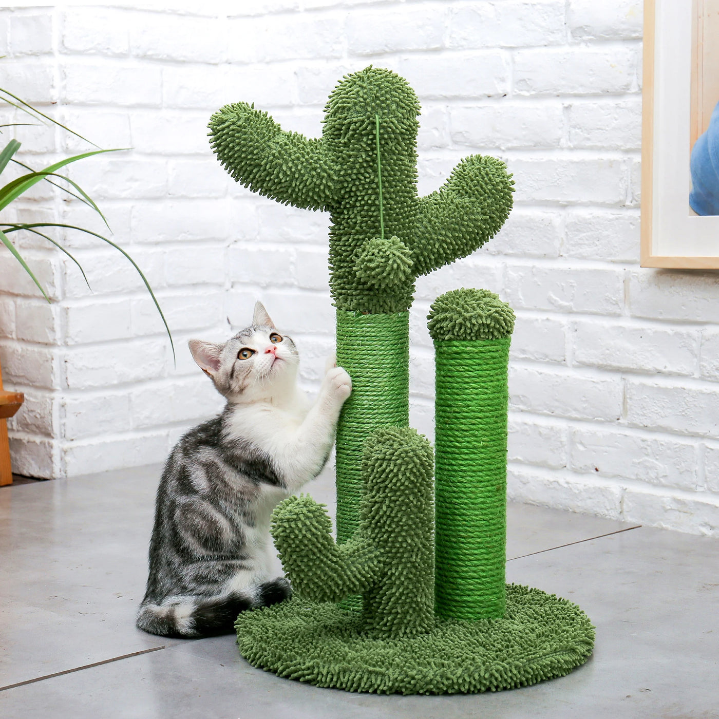 23" Cactus Cat Scratching Posts Sisal Cat Scratcher for Kittens and Medium Cats,Brown